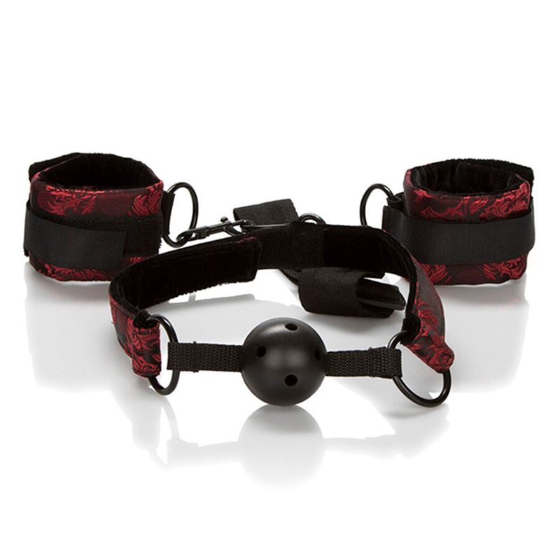 CALEXOTICS - SCANDAL BALL GAG TRASPIRANTE CON MANETTE