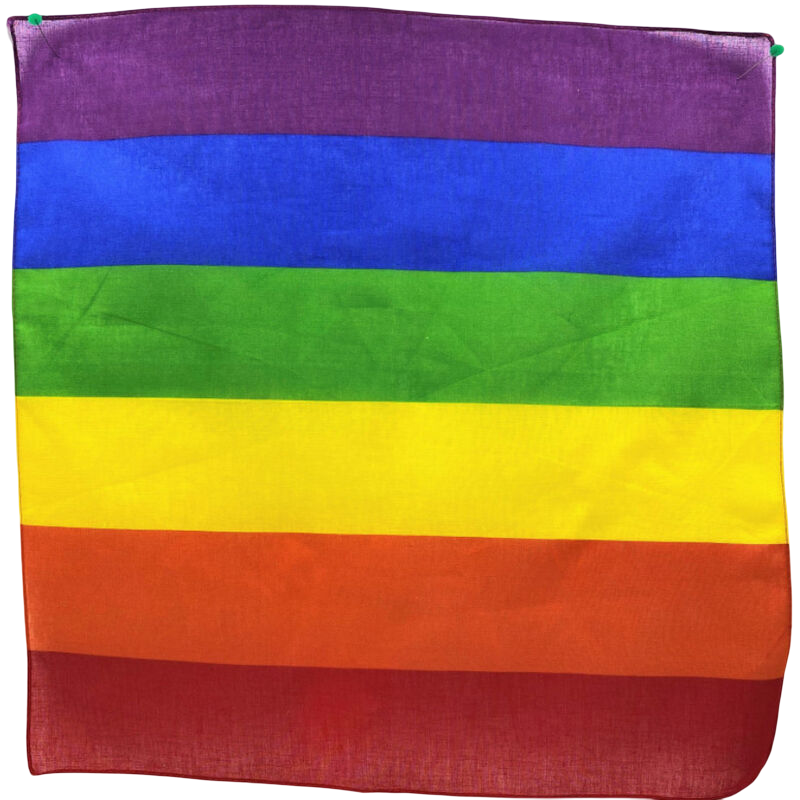PRIDE - SCIARPA LGBT 50 X 50 PRIDE - SCIARPA LGBT 50 X 50