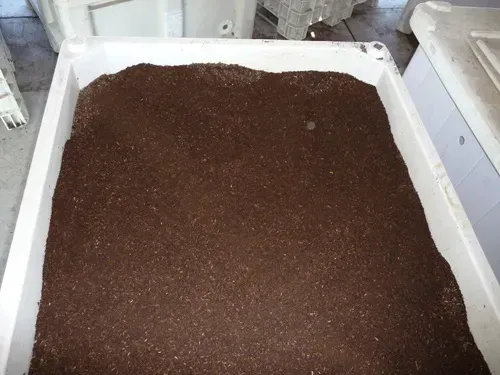 Secchiello Vermicompost 4/6 mm - 3 litri