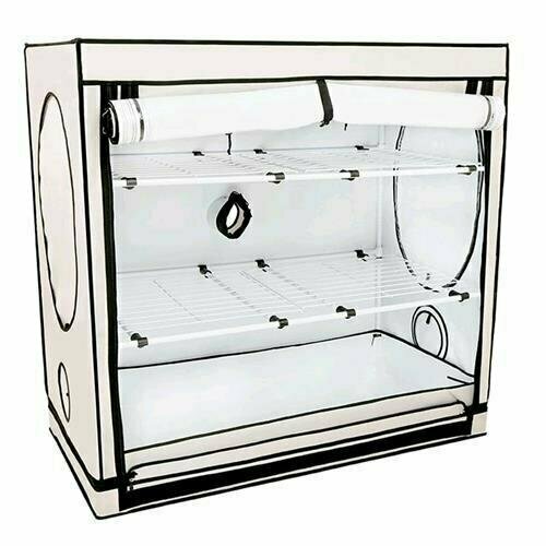 HOMEBOX - VISTA SMALL 65X65X120