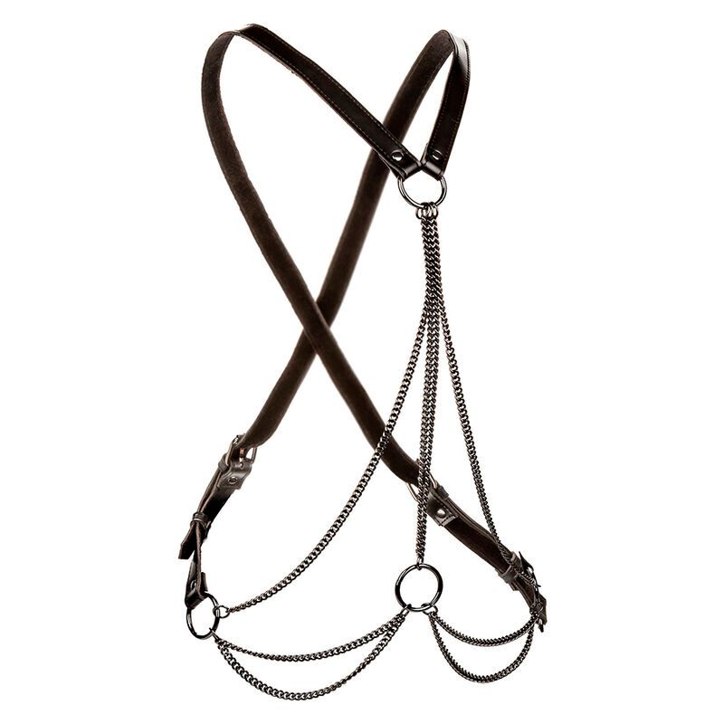 CALEXOTICS - EUPHORIA MULTICHAIN HARNESS PREMIUM CALEXOTICS - EUPHORIA MULTICHAIN HARNESS PREMIUM