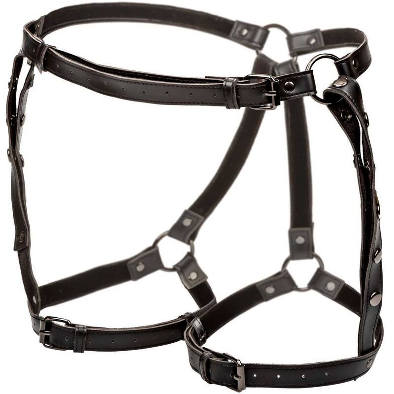 CALEXOTICS - EUPHORIA PETTORINA DA EQUITAZIONE PLUS TAGLIA CALEXOTICS - EUPHORIA PETTORINA DA EQUITAZIONE PLUS TAGLIA