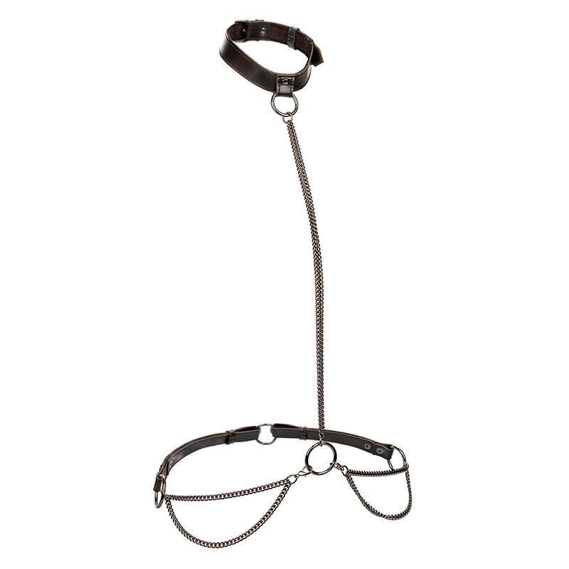 CALEXOTICS - EUPHORIA COLLARE A CATENA E GUINZAGLIO TAGLIA PIΓ« GRANDE CALEXOTICS - EUPHORIA CHAIN HALTER COLLAR & LEASH PLUS SIZE