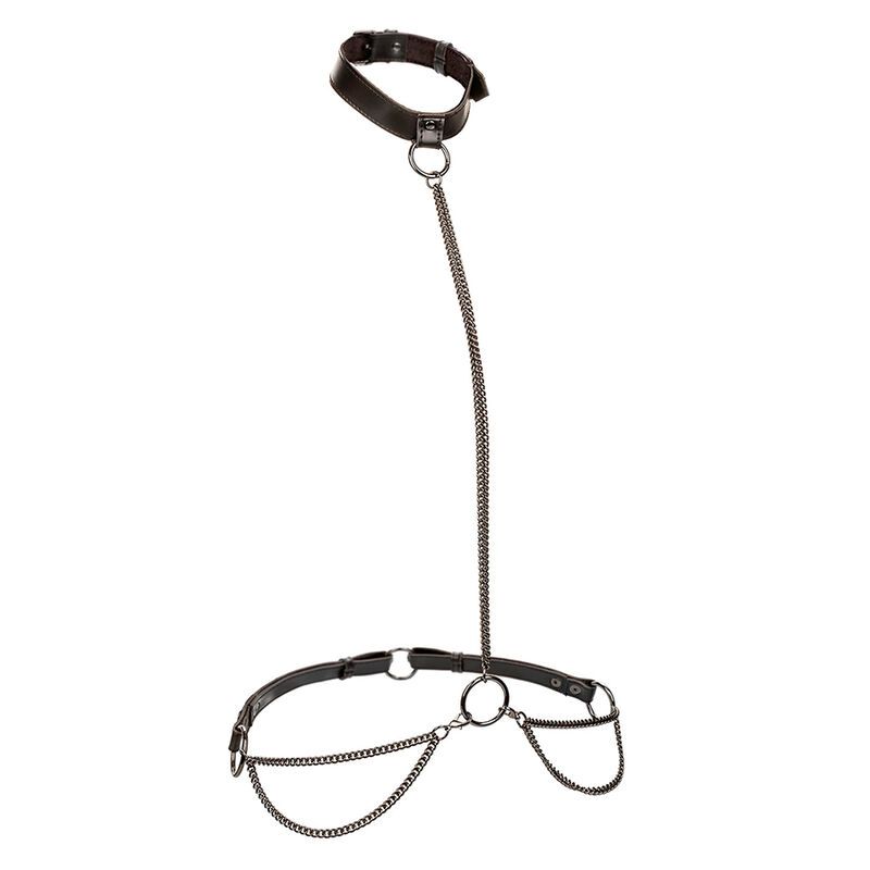 CALEXOTICS - EUPHORIA COLLARE A CATENA E GUINZAGLIO CALEXOTICS - EUPHORIA CHAIN HALTER COLLAR & LEASH