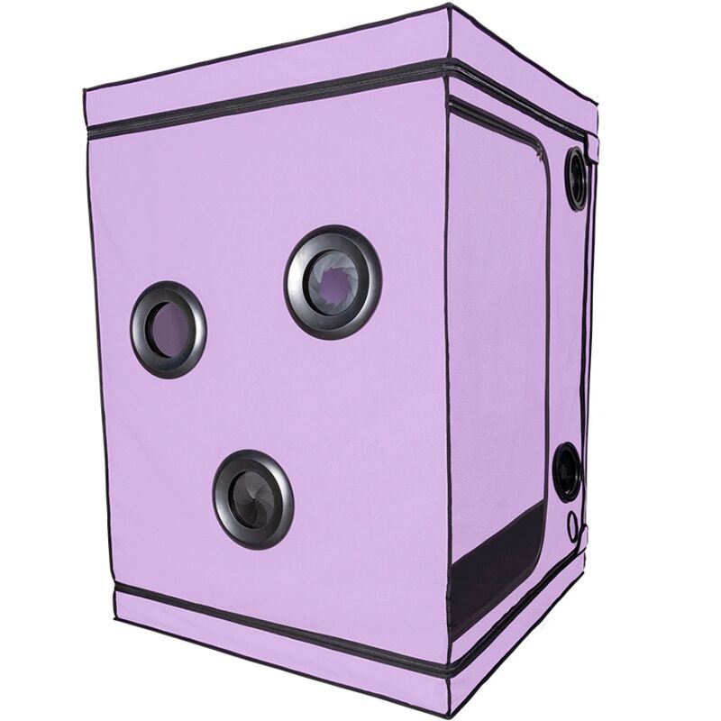 SECRET DOME - KINK CLUB CABIN SCANDALE VIOLA SECRET DOME - KINK CLUB CABIN SCANDALE VIOLA