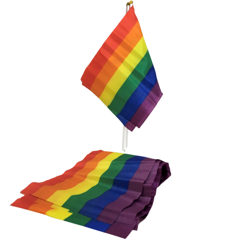 PRIDE - BANDIERA PICCOLA BANDIERA LGBT PRIDE - LGBT FLAG SMALL FLAG BANNER