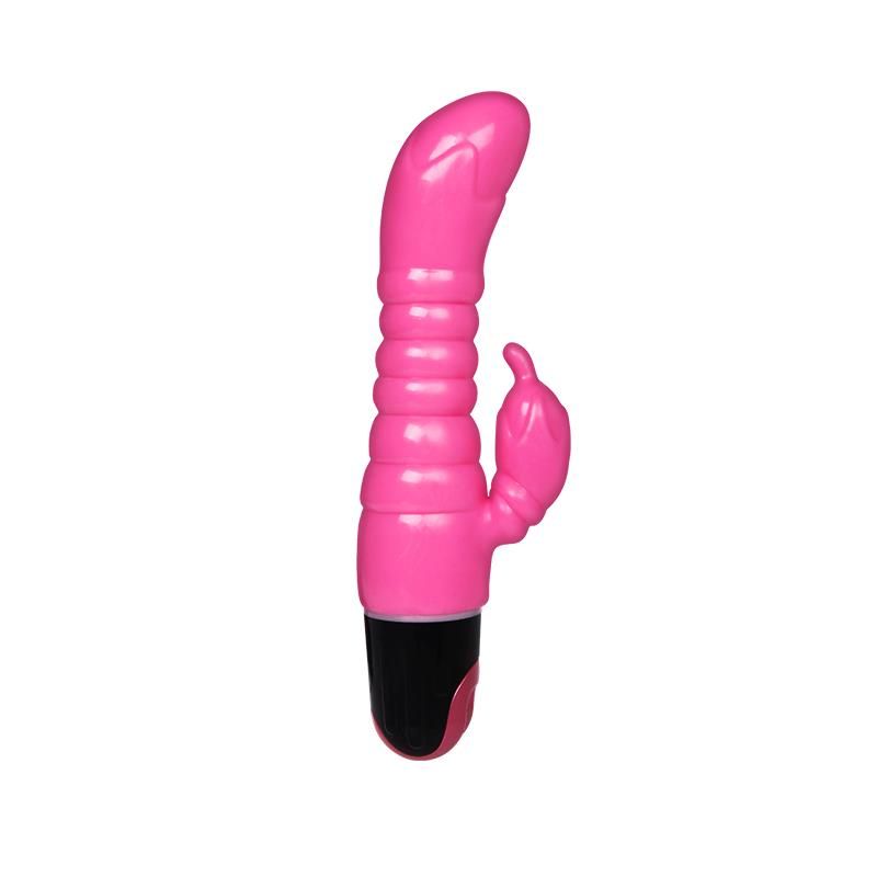 Baile Vibe Rosa Baile Vibe Rosa