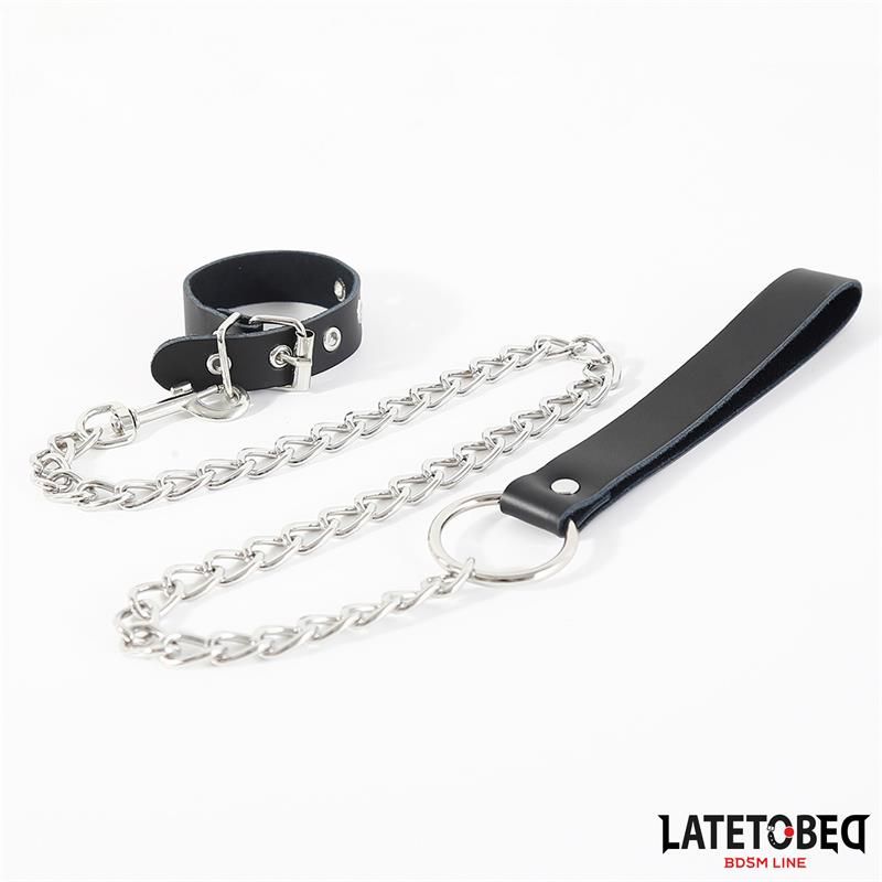 Buckle fastener Ring with Leash Buckle fastener Ring with Leash