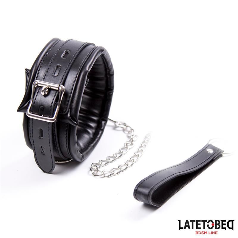 Padded Collar with Leash Padded Collar with Leash