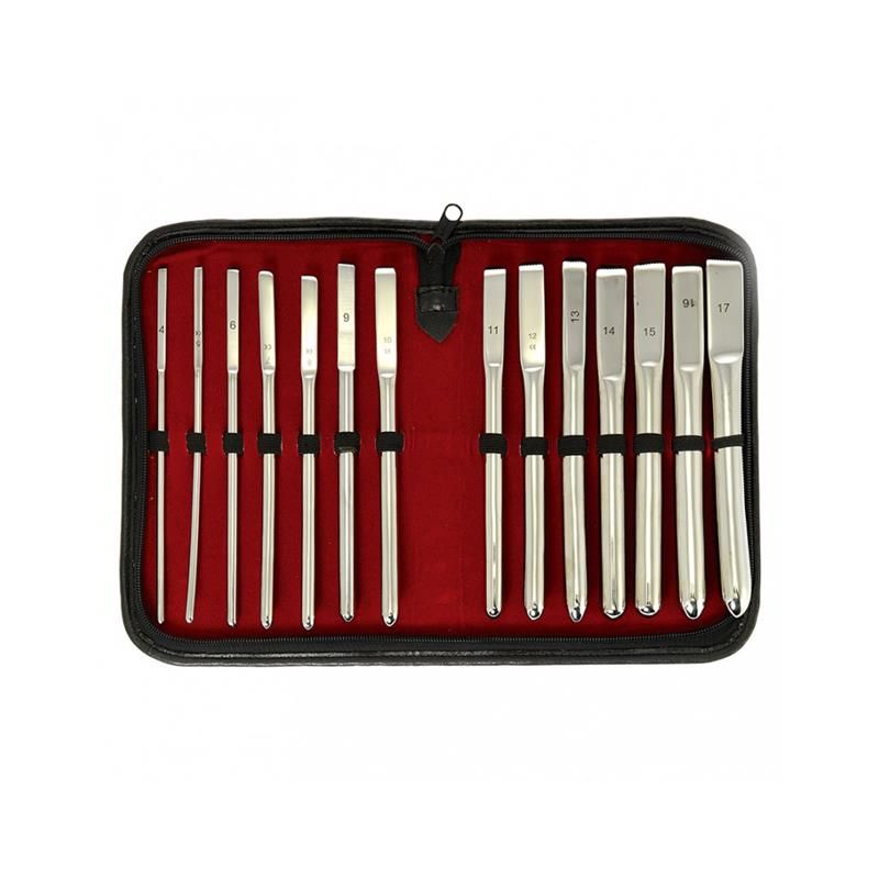 Set of Ureter Dilator 14 Pieces Set of Ureter Dilator 14 Pieces