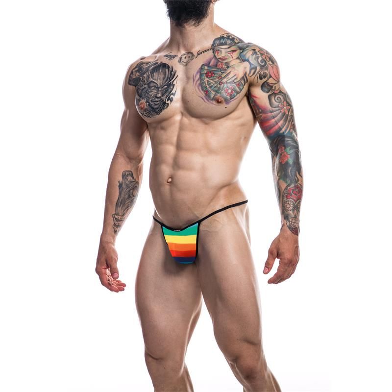 C4M12 Briefkini Rainbow - Taglia XL C4M12 Briefkini Rainbow - Taglia XL