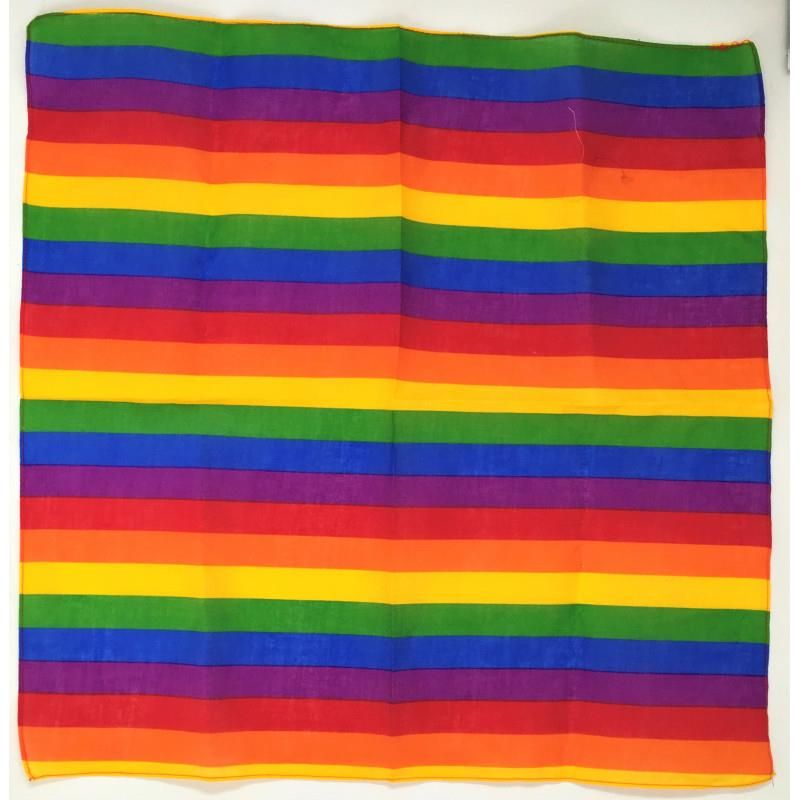 LGBT+ Pride Scarf LGBT+ Pride Scarf
