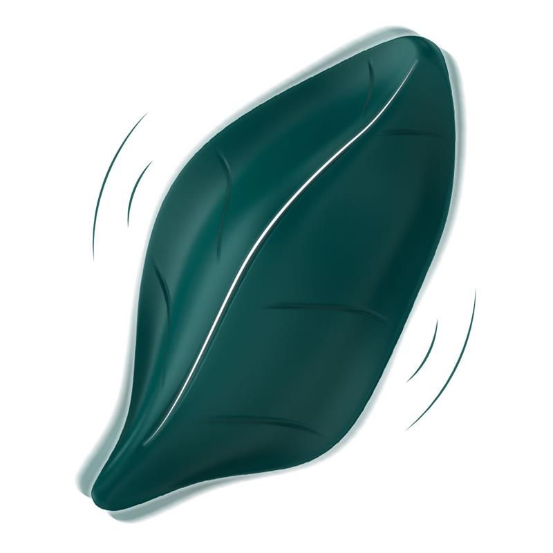 Panty Vibrator Panty Vibrator