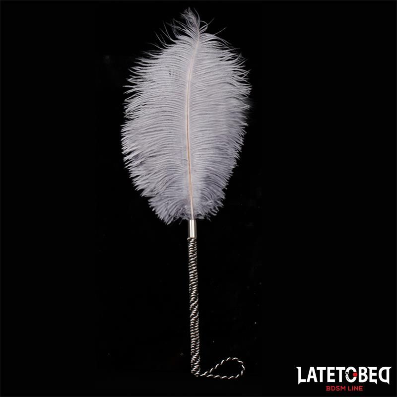Ostrich Feather 44 cm Ostrich Feather 44 cm