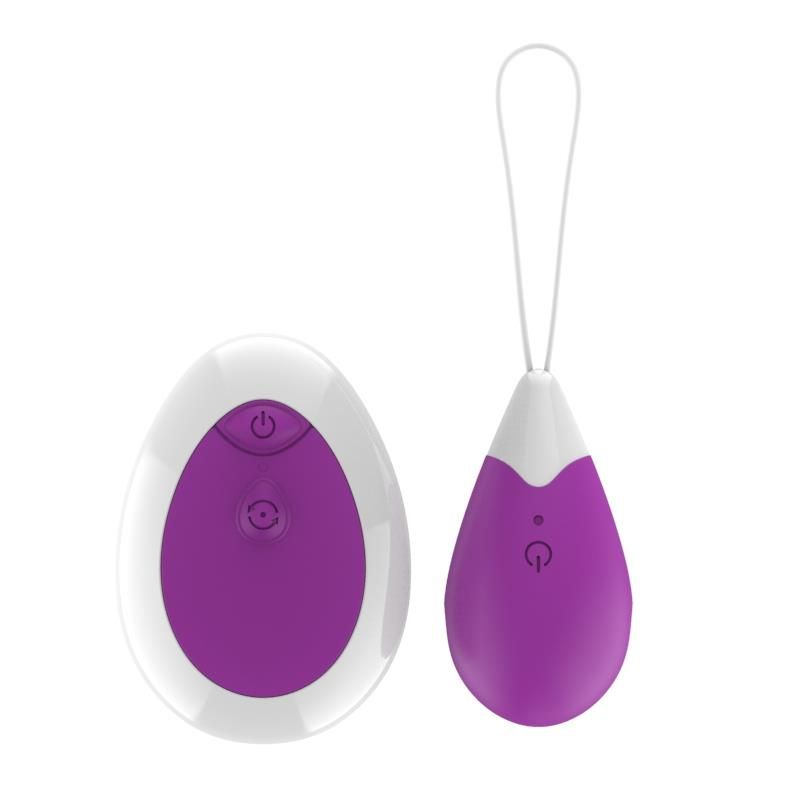 Vibrating Egg with Remote Control USB Purple Vibrating Egg with Remote Control USB Purple