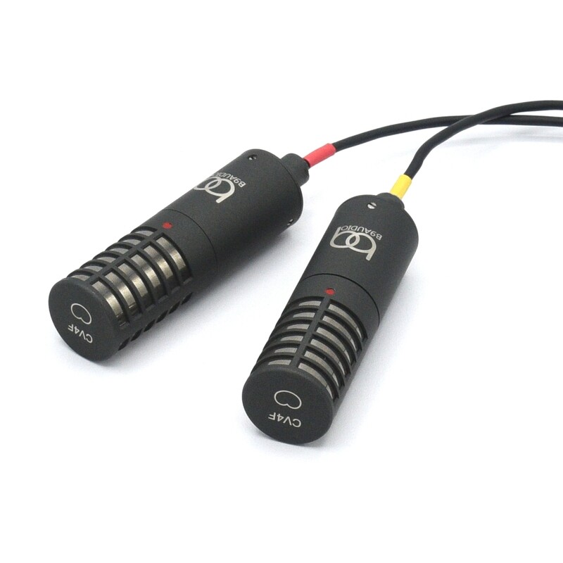 FSM44V