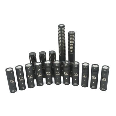 Microphone