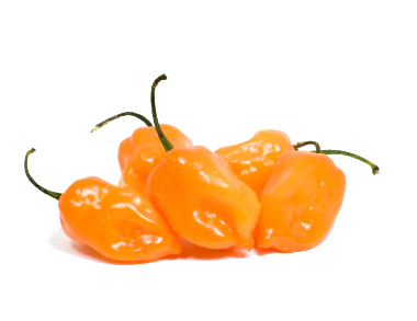 Habanero Hot Sauce 