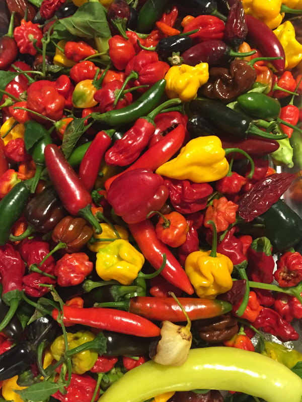 27 Pepper Extra Hot Sauce 