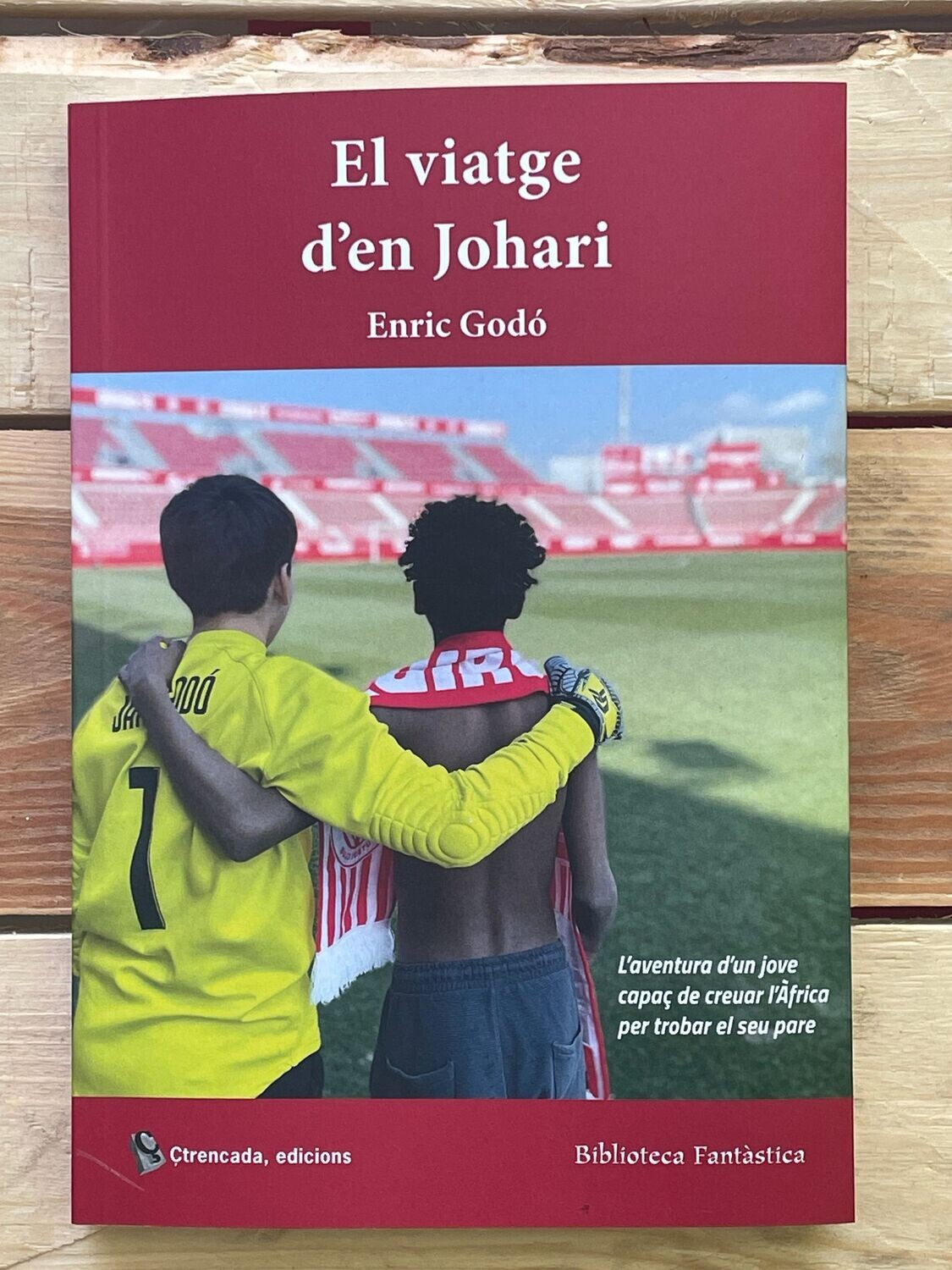 El viatge d'en Johari 
d'Enric Godó