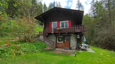 Small rustic and bucolic chalet - Rental