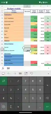Mobile personal budget