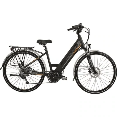 28&quot; electric bike (rental)