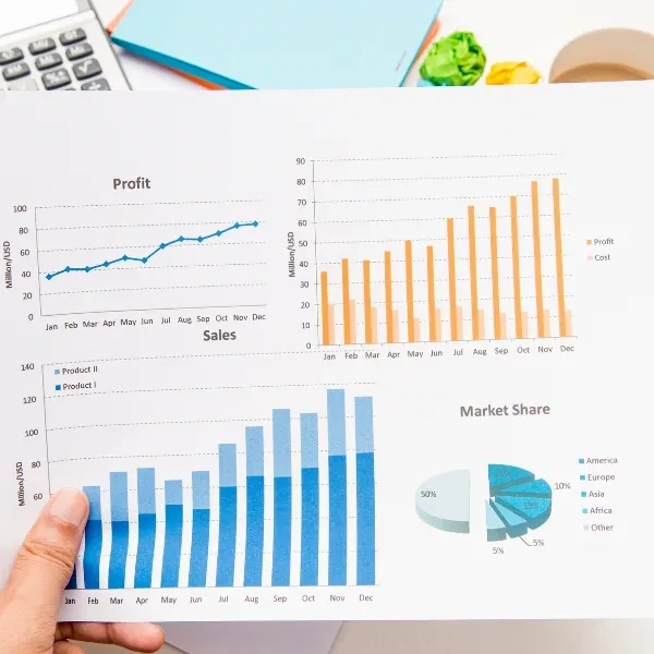 Accounts-Sections