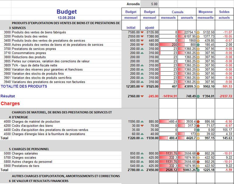 Monthly professional budget