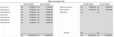 Balance sheet and income statement