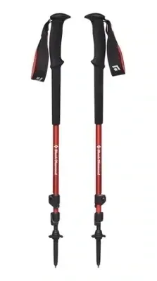 Hiking poles (rental)