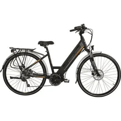 28" electric bike (rental)