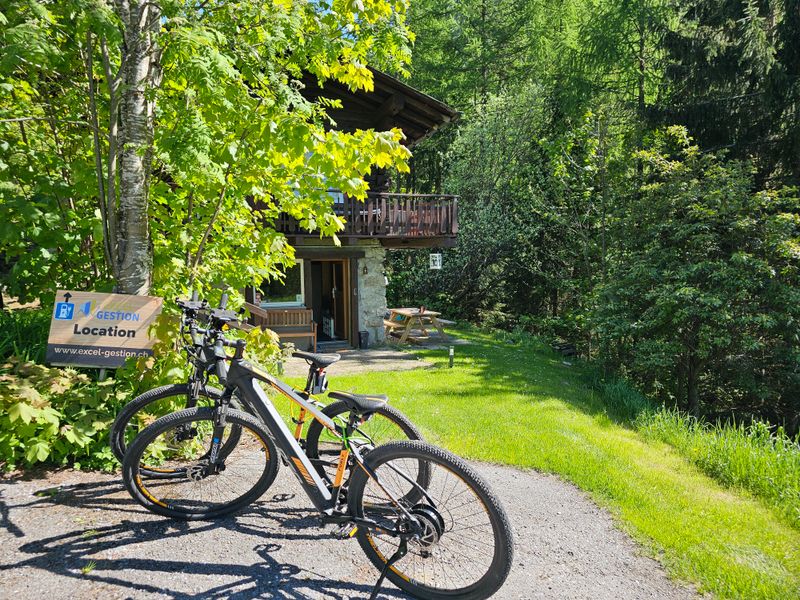 29" Electric MTB (rental)