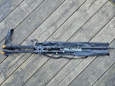Hiking poles (rental)