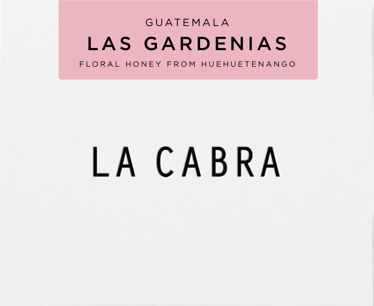 Las Gardenias - Honey