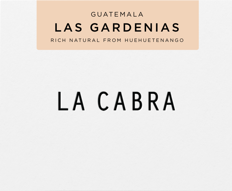 Las Gardenias - Natural