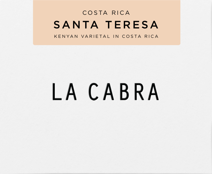 Santa Teresa - SL28