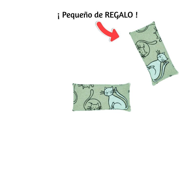 Pequeño Térmico Gatetes