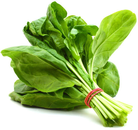 Fresh Produce, Spinach (16 Oz Bunch)