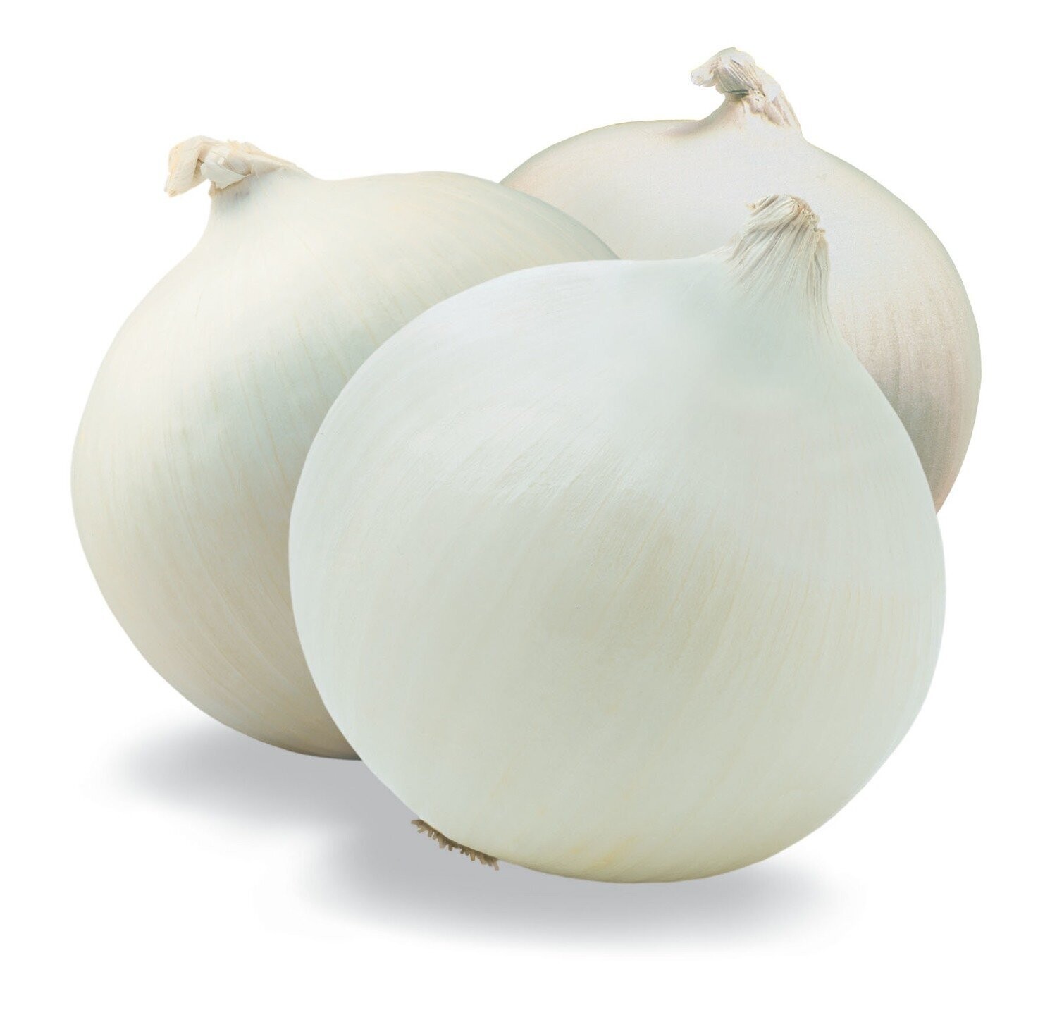 Fresh Produce, White Onions Organic (Priced Each)