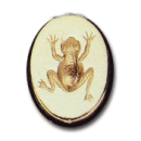 Wax Envelope Seal | 834-H Frog