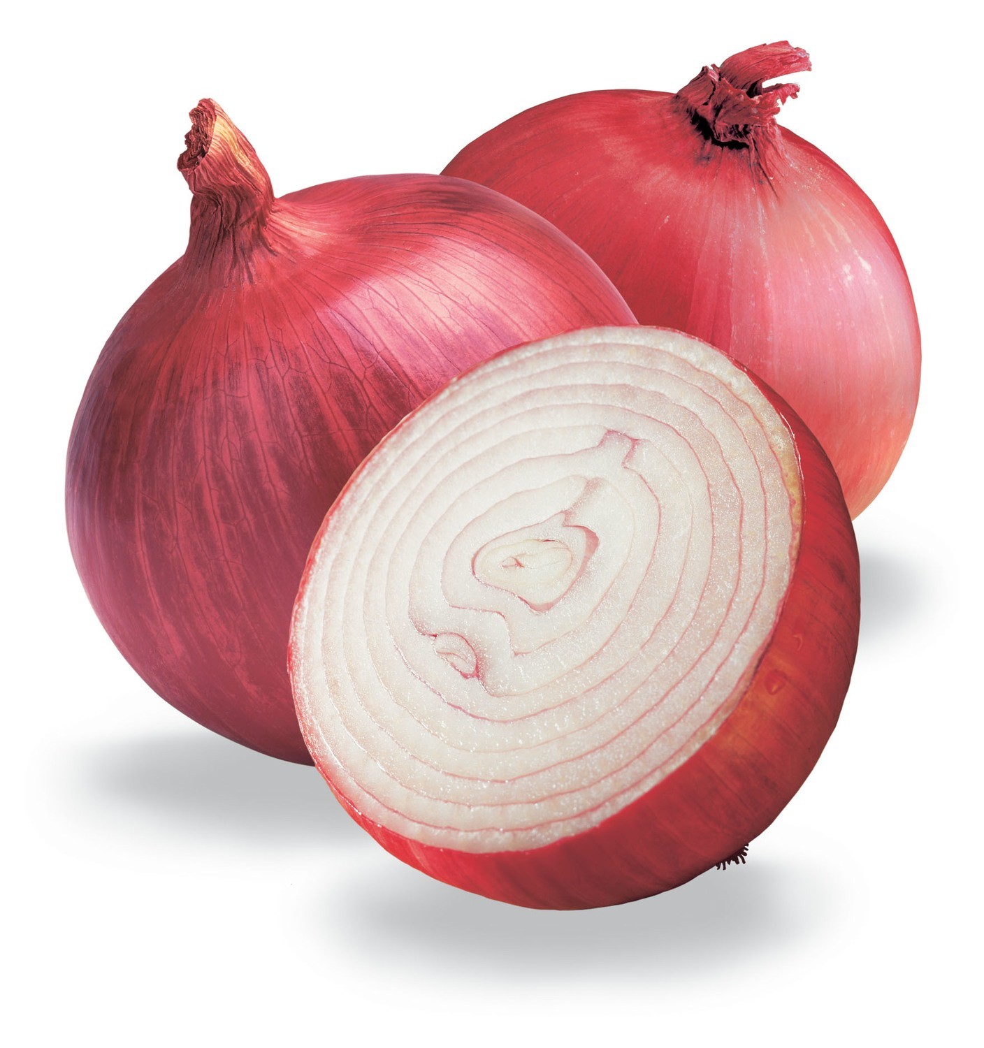 Fresh Produce, Red Onions Organic (Priced Each)