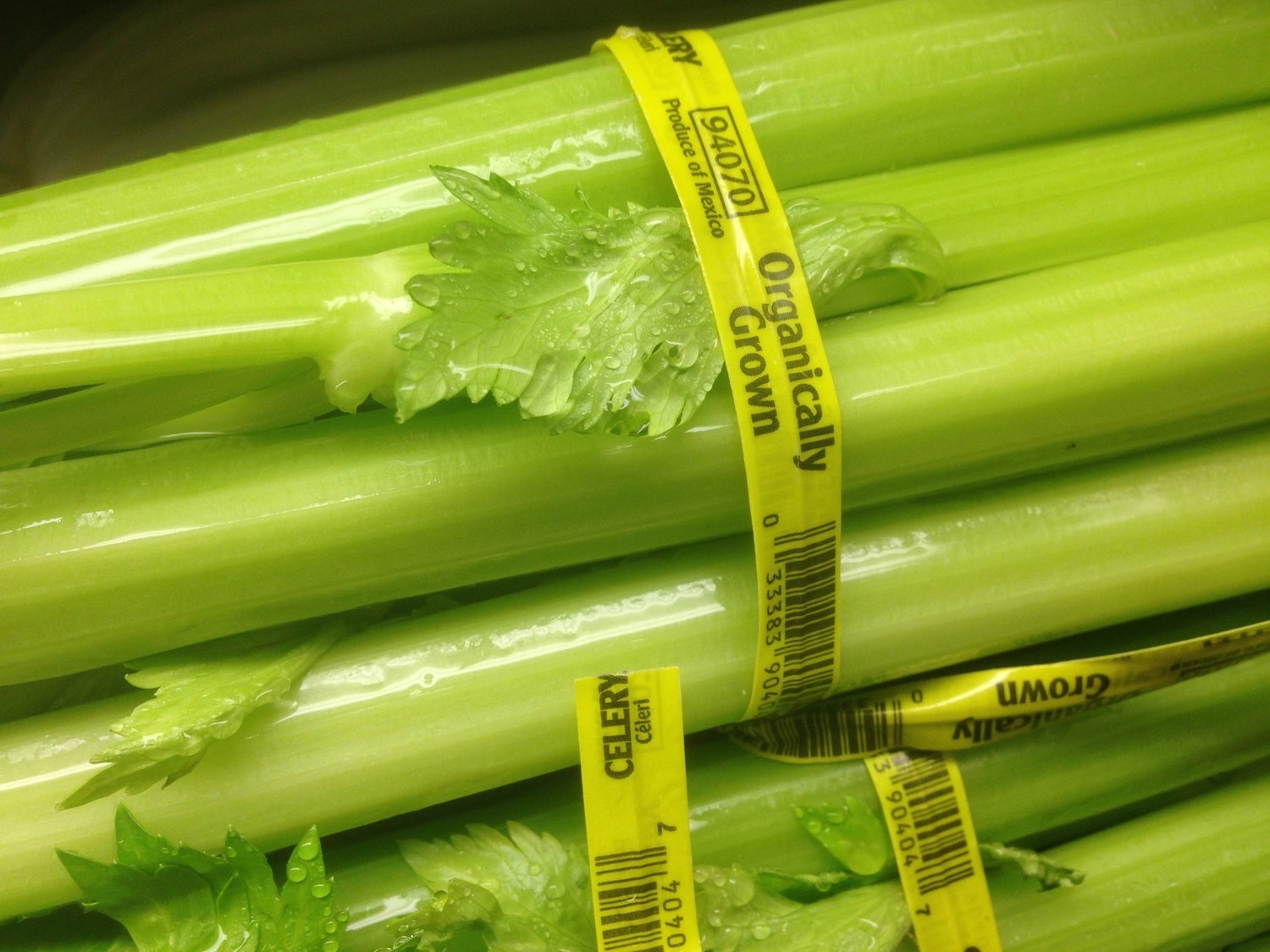 Fresh Produce, Celery (Approximately 1 Pound)