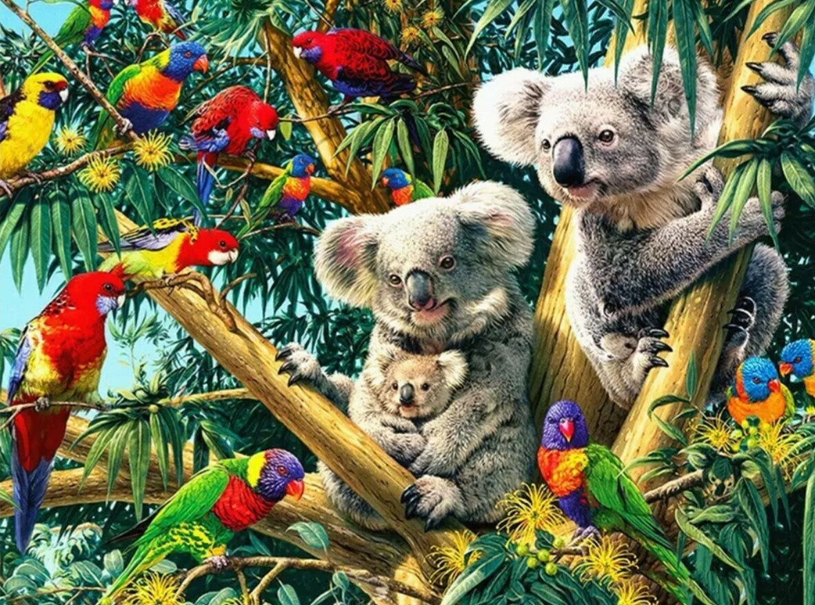 5D DIY Diamond Painting Kit Koala family and Lorikeets 60 x 90cm FULL DRILL Square - poured glue