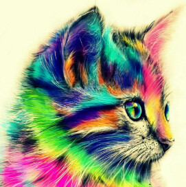 5D DIY Diamond Painting Rainbow Cat 60 x 60cm Partial  Round