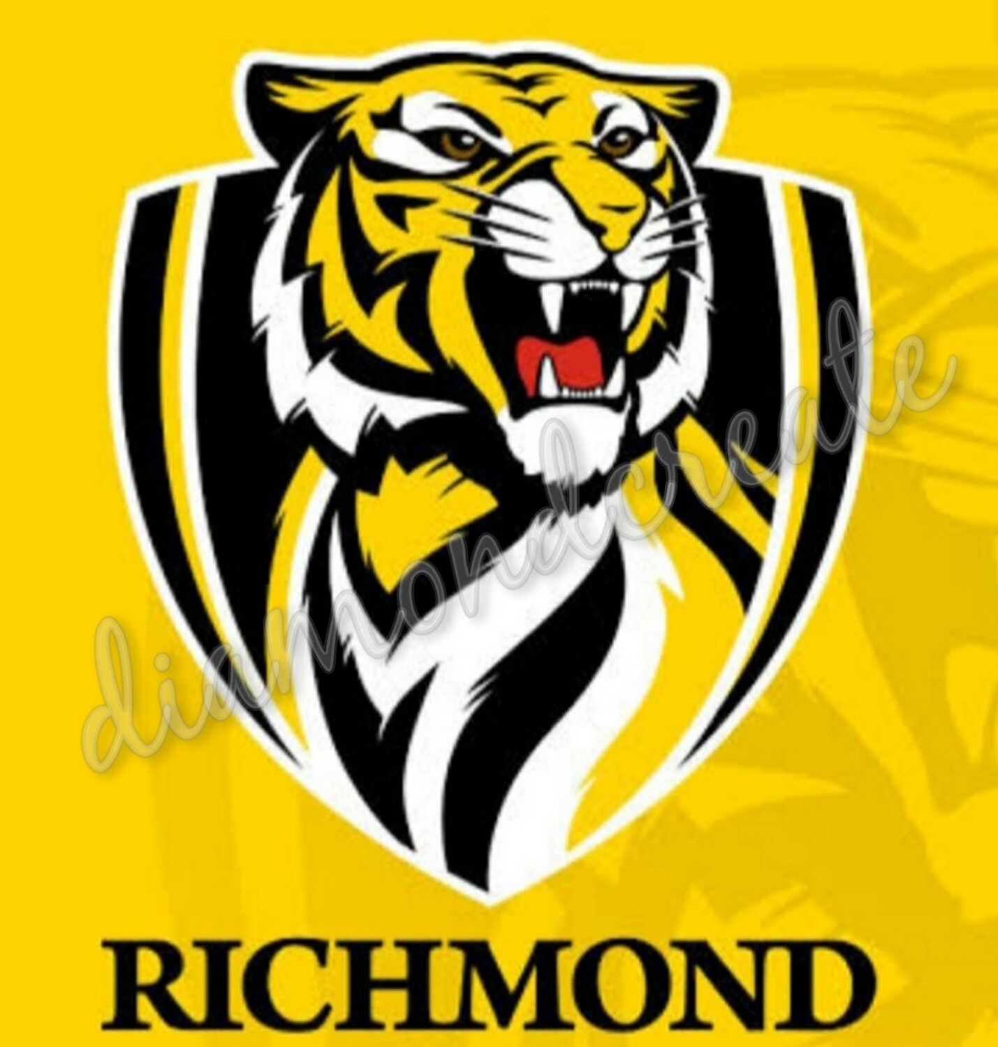 5D DIY Diamond Painting Kit IN STOCK Richmond Tigers 40 x 40cm FULL DRILL Round