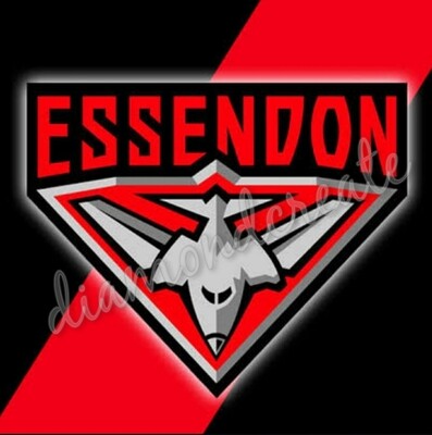 5D DIY Diamond Painting Kit IN STOCK Essendon Bombers 70x70cm FULL DRILL Square