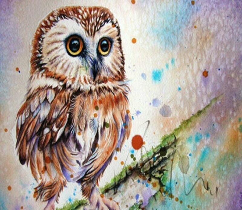 5D DIY Diamond Painting Kit Calm Owl CANVAS SIZE 40 x 50cm FULL DRILL round