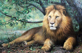 5D DIY Diamond Painting Kit Lazy Lion 50 x 70cm FULL DRILL Round - poured glue