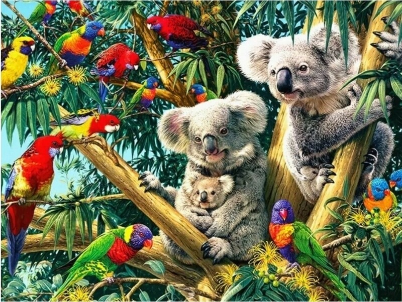 5D DIY Diamond Painting Kit Koala and Lorikeets 60 x 90cm FULL DRILL round